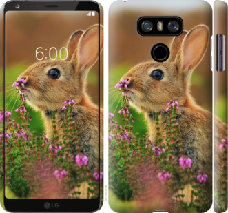 Чехол Кролик и цветы для LG G6