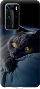 Чехол Дымчатый кот для Huawei P40 Pro