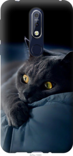 

Чехол Дымчатый кот для Nokia 7.1 944364