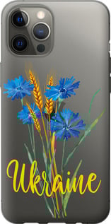 Чехол Ukraine v2 для iPhone 12 Pro Max