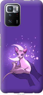 

Чехол Кот2 для Xiaomi Poco X3 GT 1591440