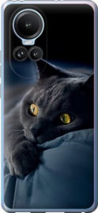 Чехол Дымчатый кот для Oppo Reno10 Pro