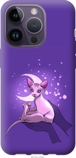 

Чехол Кот2 для iPhone 14 Pro 1567713