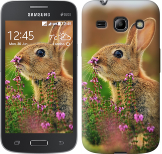 

Чехол Кролик и цветы для Samsung Galaxy Core Plus G3500 304711