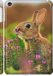 

Чохол Кролик і квіти на iPad mini 3 149837