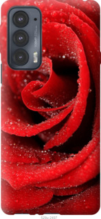 

Чехол Красная роза для Motorola Edge 20 1574228