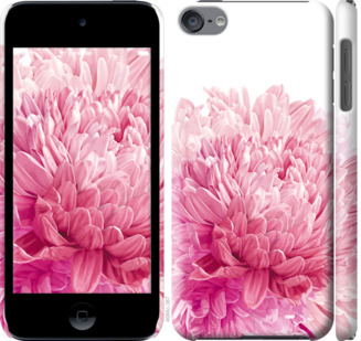 

Чохол Хризантема на iPod Touch 6 844075