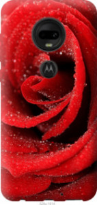 Чохол Червона троянда для Motorola Moto G7