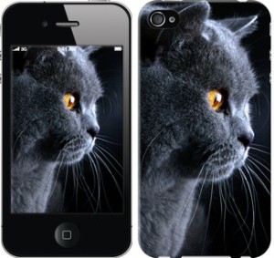 Чехол Красивый кот для iPhone 4