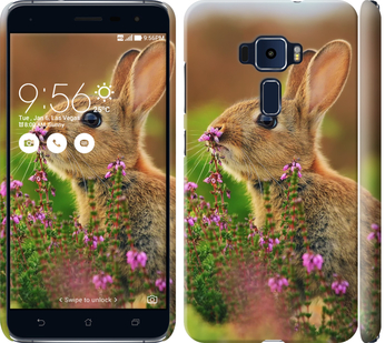 

Чохол Кролик і квіти на Asus Zenfone 3 ZE552KL 150141