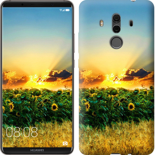 

Чехол Украина для Huawei Mate 10 Pro 655238