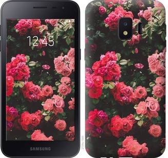 

Чохол Кущ з трояндами на Samsung Galaxy J2 Core 669820