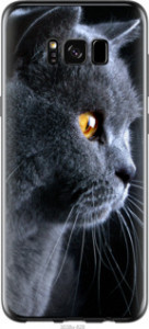 Чехол Красивый кот для Samsung Galaxy S8