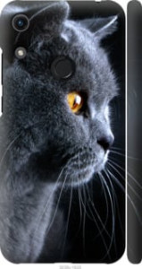 Чехол Красивый кот для Huawei Y6s