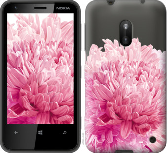 

Чехол Хризантема для Nokia Lumia 620 844689