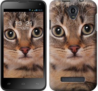 

Чохол Смугастий котик на Fly IQ4415 175878