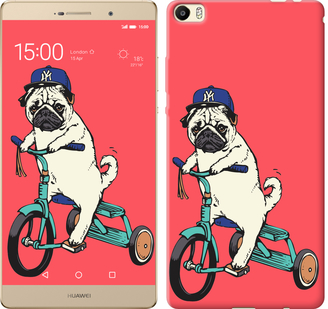 

Чохол Мопс на велосипеді на Huawei P8 Max 642836