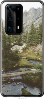 Чехол Природа для Huawei P40 Pro Plus