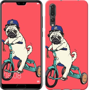 

Чехол Мопс на велосипеде для Huawei Nova 4 698313