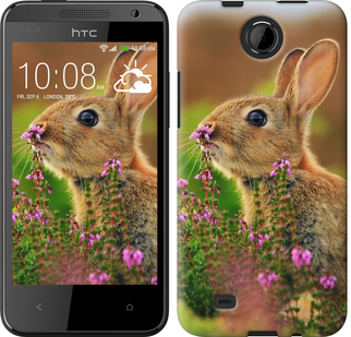 

Чохол Кролик і квіти на HTC Desire 300 149924