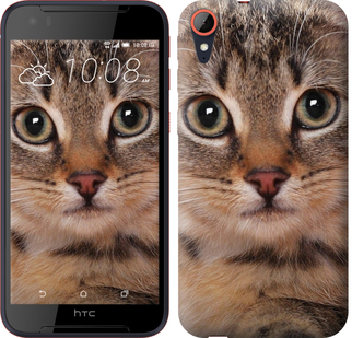 

Чохол Смугастий котик на HTC Desire 830 655415