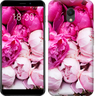 

Чехол Розовые пионы для Meizu M6s 630579