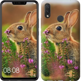 

Чехол Кролик и цветы для Huawei Honor Play 677412