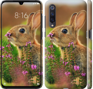 

Чохол Кролик і квіти на Meizu 16S 781389
