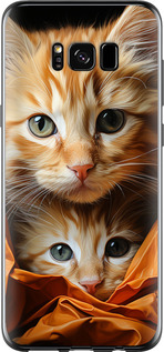 Чохол Котики 2 на Samsung Galaxy S8