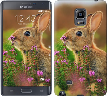

Чехол Кролик и цветы для Samsung Note Edge SM-N915 149880