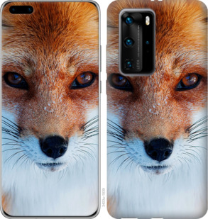 

Чехол Рыжая лисица для Huawei P40 Pro 933922