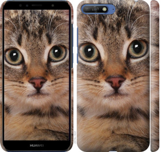 

Чехол Полосатый котик для Huawei Honor 9 780403