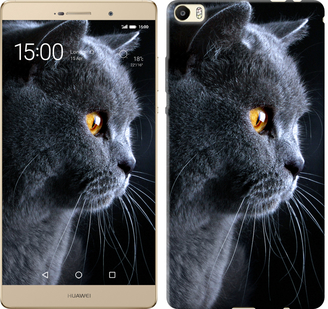 

Чехол Красивый кот для Huawei P8 Max 242647