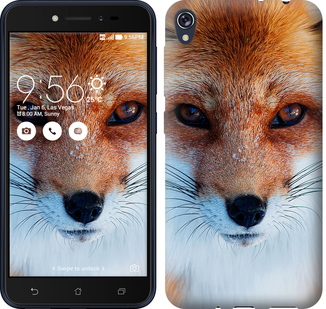 

Чехол Рыжая лисица для Asus ZENFONE Live ZB501KL 604635