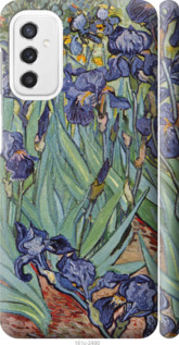 

Чохол Вінсент Ван Гог. Iриси на Samsung Galaxy M52 M526B 1576157