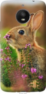 Чехол Кролик и цветы для Motorola Moto E4 Plus