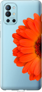 

Чехол Гербера 1 для OnePlus 9R 1589599