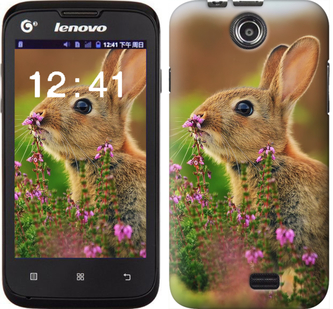 

Чохол Кролик і квіти на Lenovo A300 304737