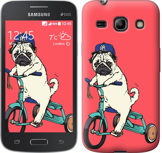 

Чохол Мопс на велосипеді на Samsung Galaxy Star Advance G350E 87595
