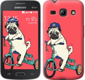 Чехол Мопс на велосипеде для Samsung Galaxy Star Advance G350E