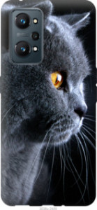 Чехол Красивый кот для Realme GT Neo 2