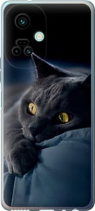 Чехол Дымчатый кот для Tecno Camon 19 Pro (CI8n)
