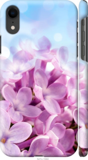 

Чехол Сирень для iPhone XR 1013972