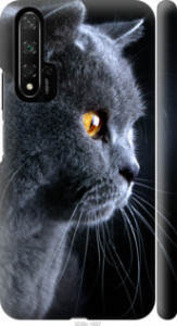 Чехол Красивый кот для Huawei Honor 20