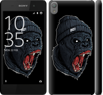 

Чохол Мавпа в люті на Sony Xperia E5 F3311 554783