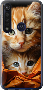 Чехол Котики 2 для Motorola G8 Plus