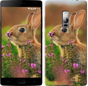 Чехол Кролик и цветы для OnePlus 2