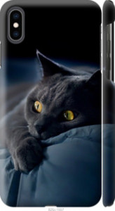 Чехол Дымчатый кот для iPhone XS Max