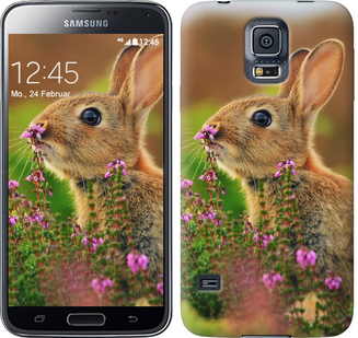 

Чохол Кролик і квіти на Samsung Galaxy S5 Duos SM G900FD 304699