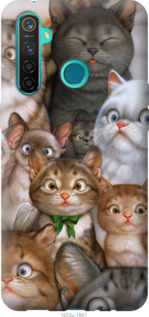 

Чохол коти на Realme 5 Pro 939942